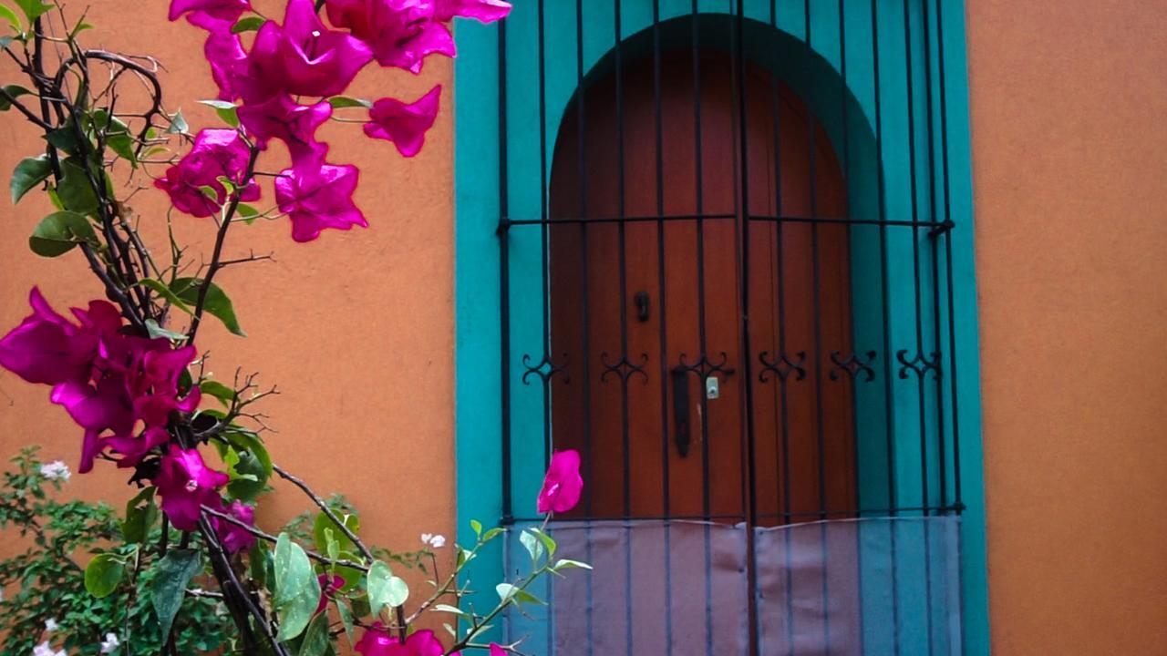 Oaxaca Casa Frida B&B מראה חיצוני תמונה