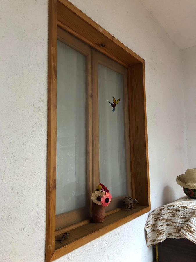 Oaxaca Casa Frida B&B מראה חיצוני תמונה