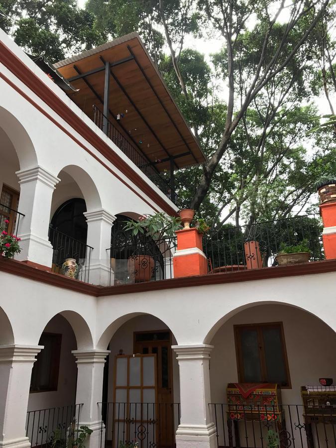 Oaxaca Casa Frida B&B מראה חיצוני תמונה