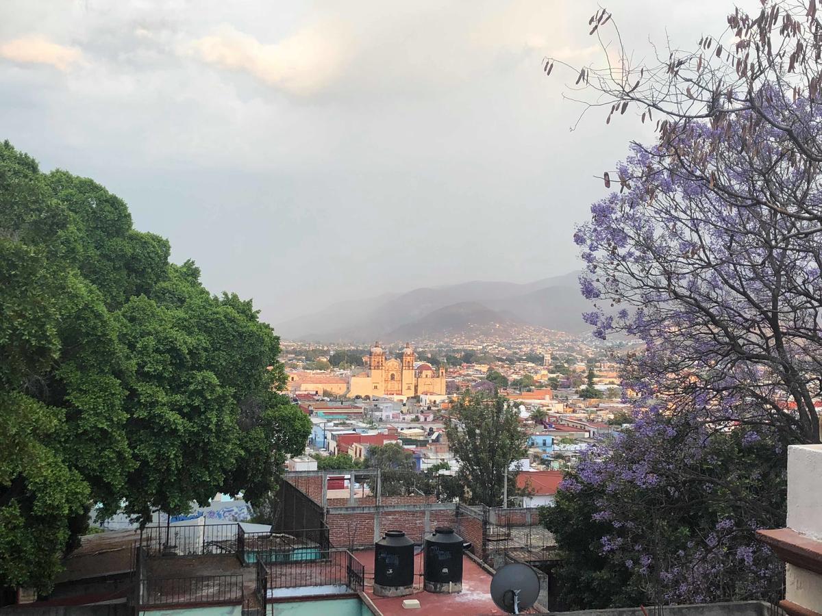Oaxaca Casa Frida B&B מראה חיצוני תמונה