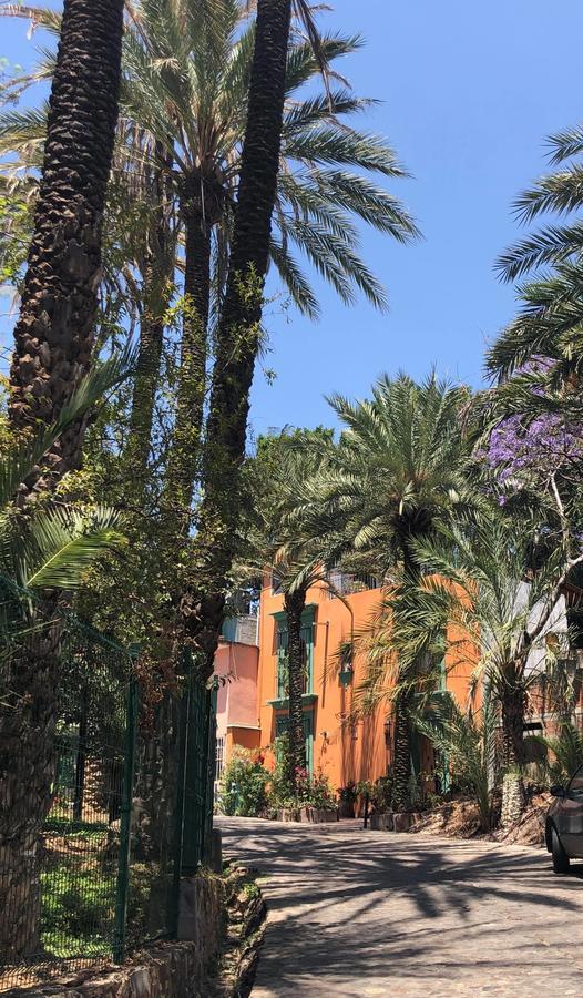 Oaxaca Casa Frida B&B מראה חיצוני תמונה